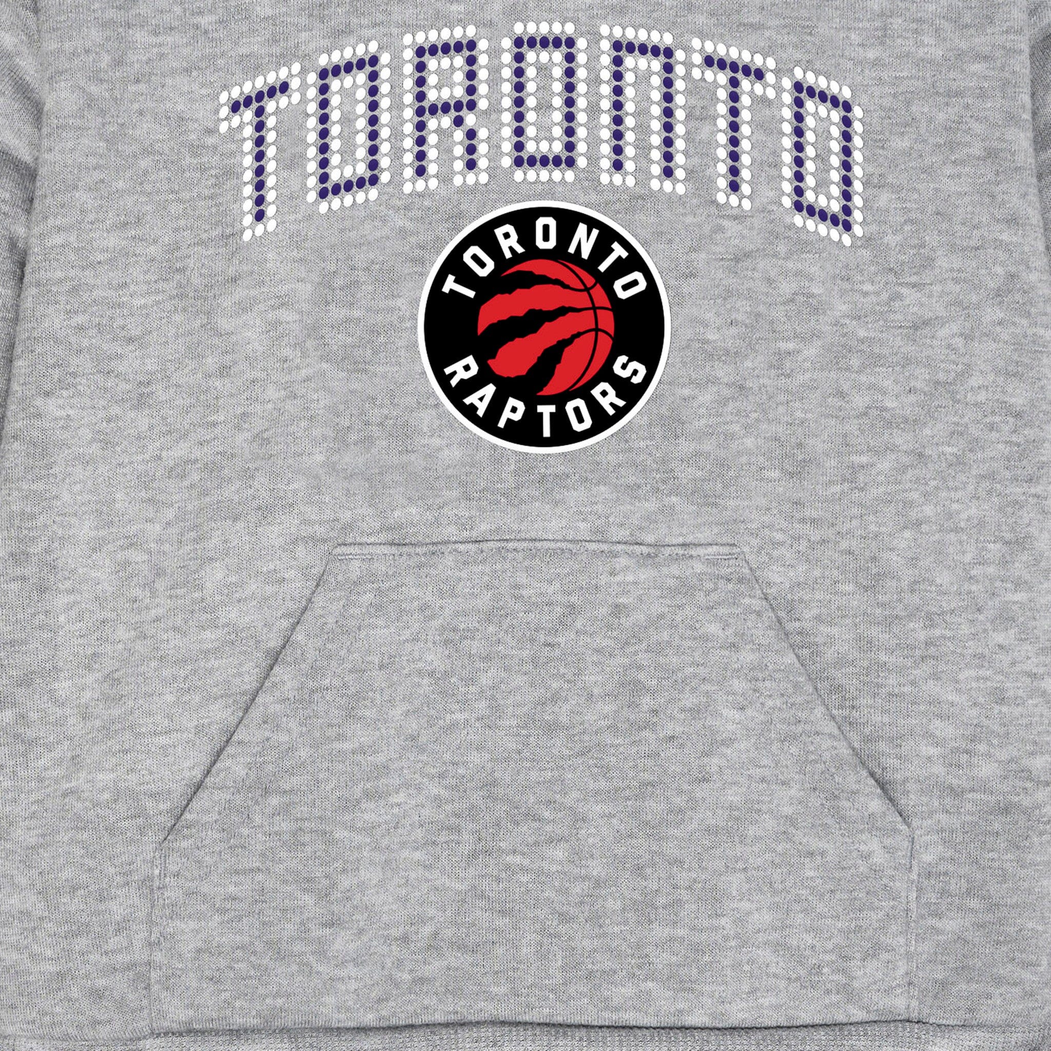 Infant & Toddler Neutral Gray Toronto Raptors Hoodie - Image 3
