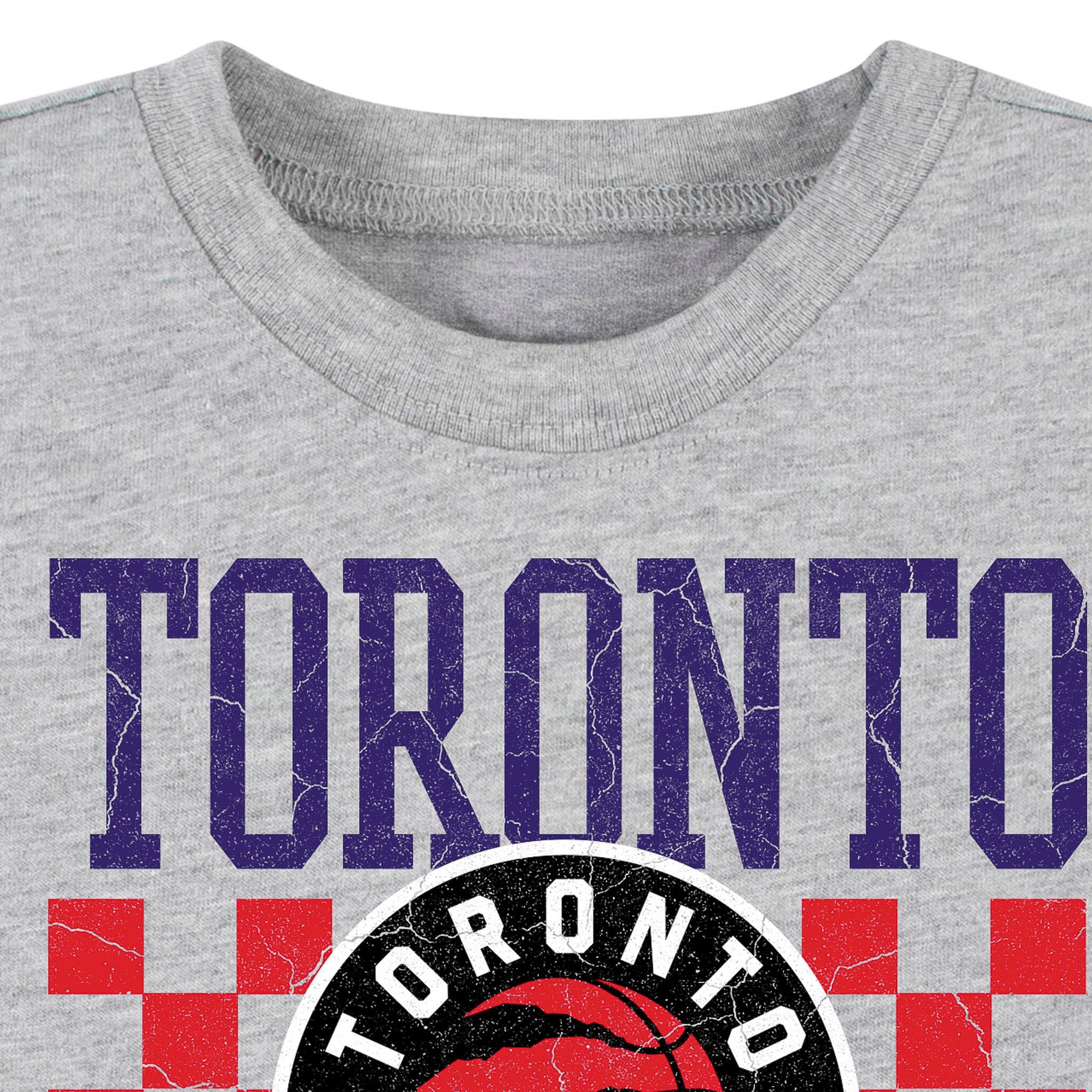 Infant & Toddler Neutral Gray Toronto Raptors T-Shirt - Image 3