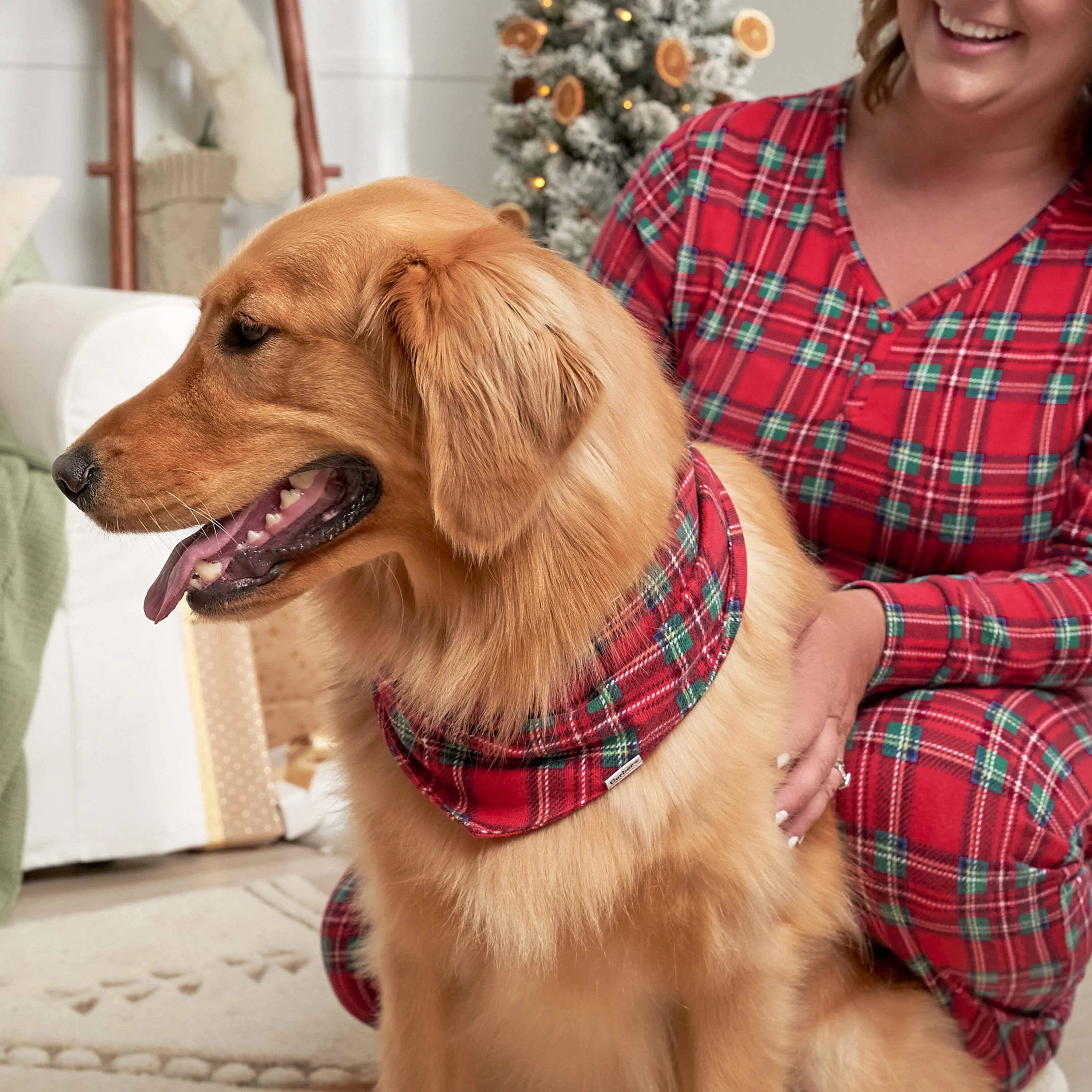 Stewart Plaid Hacci Pet Bandana - Image 3