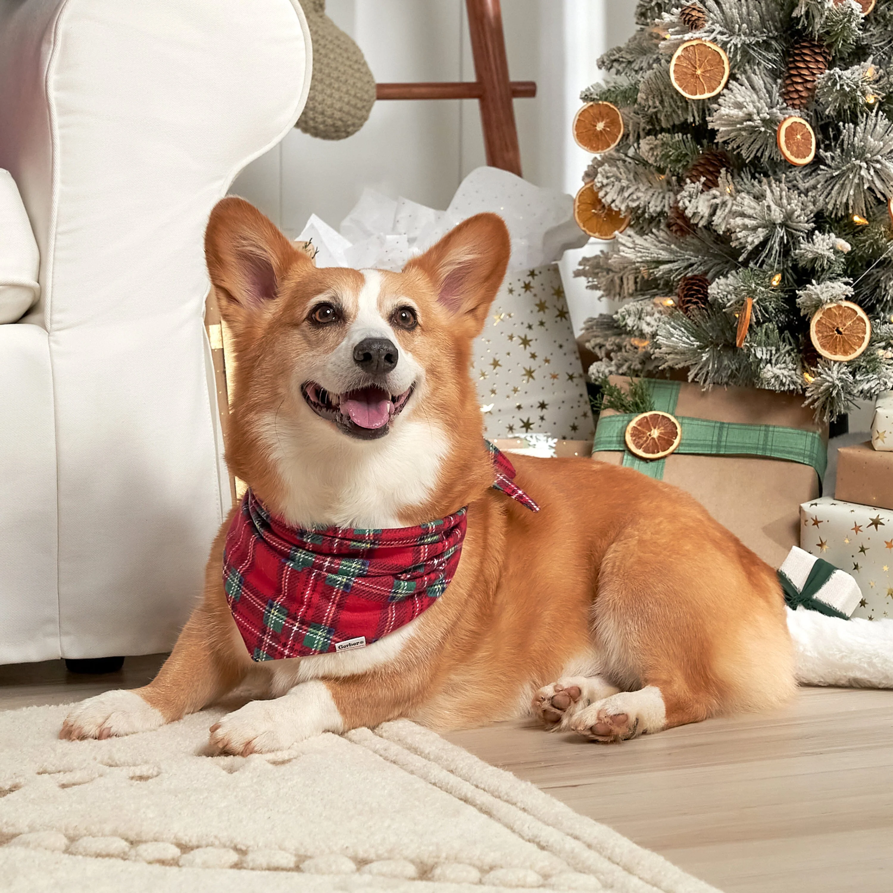Stewart Plaid Hacci Pet Bandana - Image 4