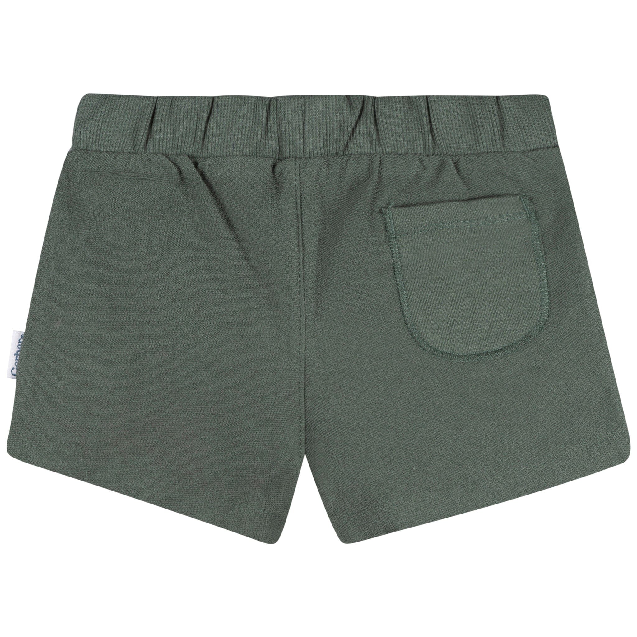 2-Pack Baby & Toddler Boys Green & Tan Knit Shorts - Image 5