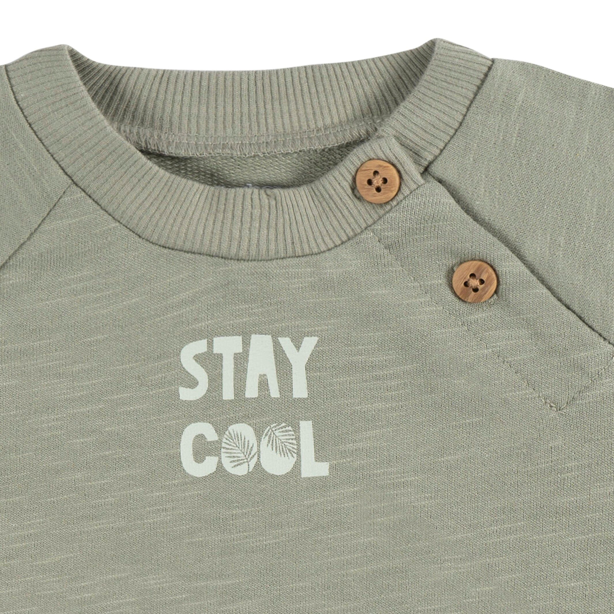 2-Piece Baby Boys Palms T-Shirt and Shorts Set - Image 5
