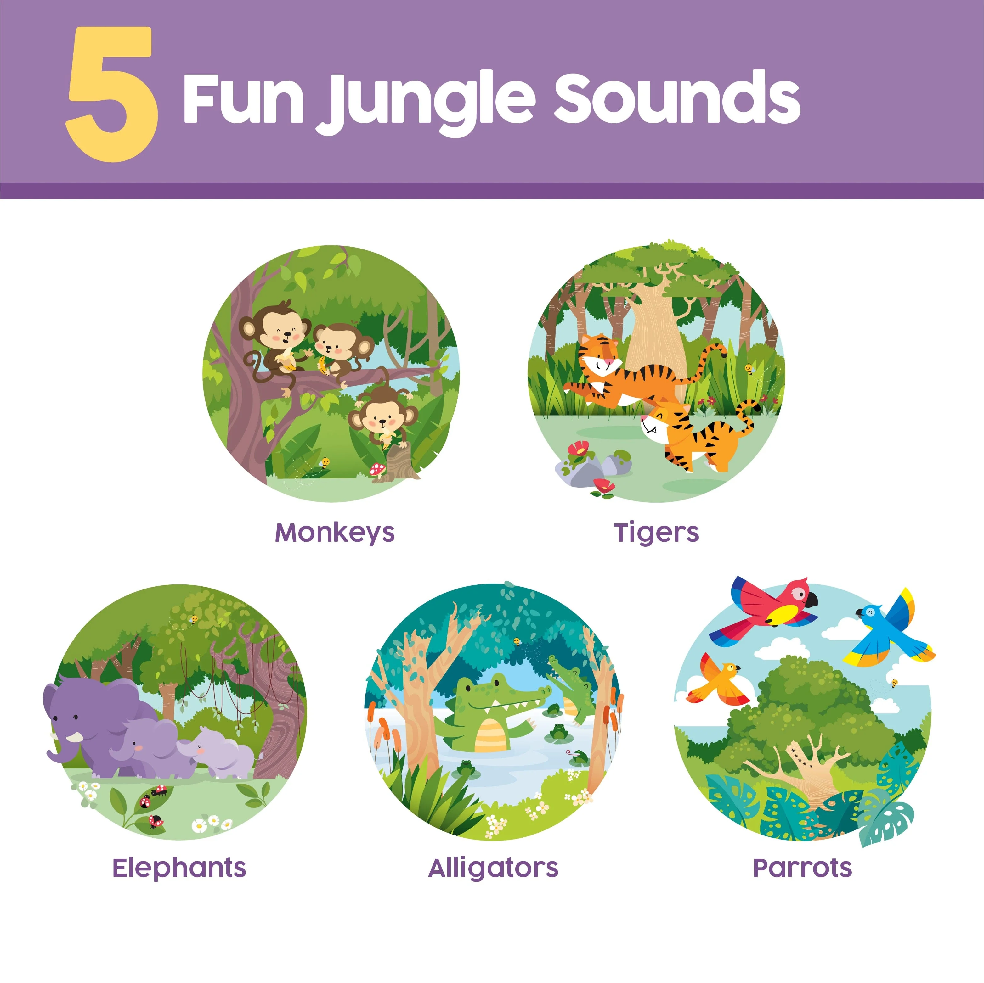 "Visiting- Visitando La Selva" Bilingual Sound Book - Image 2